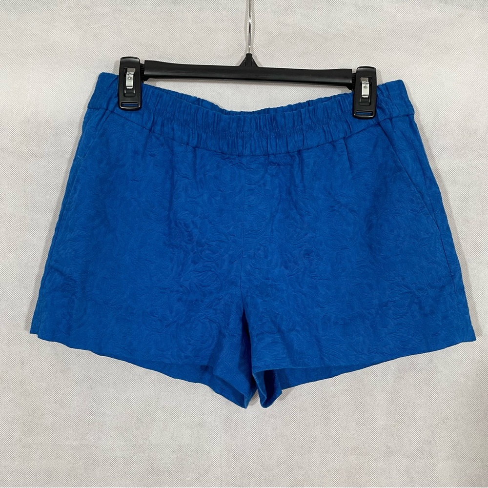 J Crew Blue Pull On Shorts